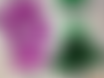 The Apothecary Week 1 - My first blog post!