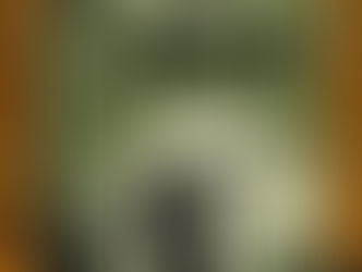 ‘O que espanta miséria é festa’: Império Serrano vai cantar Beto Sem Braço no Carnaval 2025