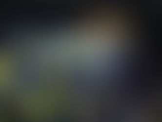 Unidos da Tijuca leva quatro sambas para a semifinal que será realizada nesta quinta