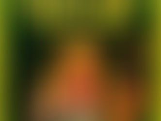 "Rita Lee, a Padroeira da Liberdade!” é o enredo da Mocidade Independente de Padre Miguel para o Carnaval 2026.