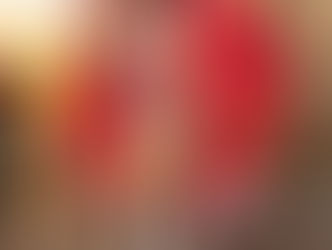 Day Mdz desembarca no Brasil para coroação da Acadêmicos de Niterói