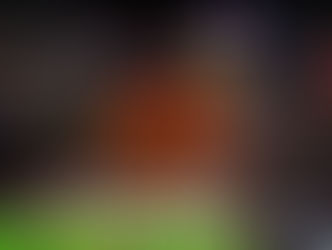 Mais de 20 mil ingressos já foram vendidos para o Rio Carnaval 2025