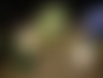 Império Serrano realiza primeiro ensaio do ano nesta terça-feira (7)