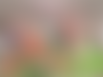 Desfiles das Escolas de Samba do Grupo C de Niterói