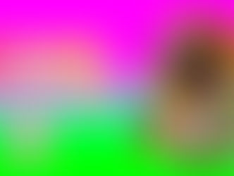 Lins Imperial inicia disputa neste domingo com sete sambas concorrentes