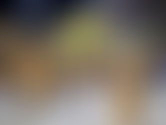 Unidos da Tijuca dispensa segundo casal de mestre-sala e porta-bandeira