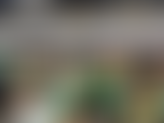 MOCIDADE INDEPENDENTE DE PADRE MIGUEL FAZ ENSAIO TÉCNICO NO SETOR 11