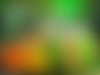 Mocidade Independente de Padre Miguel já tem samba-enredo para o Carnaval 2025