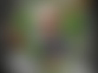 Botafogo Samba Clube exaltará legado de Roberto Burle Marx no carnaval de 2026