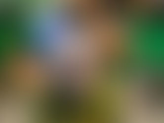 Botafogo Samba Clube anuncia primeiro nome confirmado na equipe do carnaval 2025