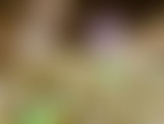 Império Serrano promove o primeiro ensaio técnico carbono zero da história do Carnaval