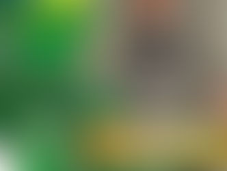 GRES ACADÊMICOS DA PEDRA BRANCA ANUNCIA SEU PRIMEIRO DESTAQUE