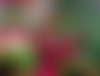 Lins Imperial renova mestre Bradock no comando da bateria para o próximo carnaval