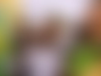 Império Serrano celebra os aniversários de Madureira e Beto Sem Braço com roda de samba na sexta (24)