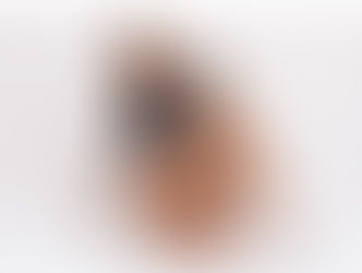 Wenny é a nova rainha de bateria da Botafogo Samba Clube para 2026