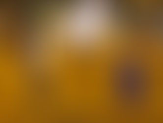 Acadêmicos de Niterói encerra o ano com ensaio na Amaral Peixoto neste domingo, 17