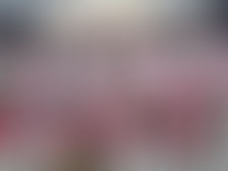 "Pilares" dessa raiz! Parceria de Paulinho Bandolim é a campeã na Unidos do Jacarezinho