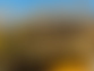 Quadra da Unidos da Tijuca se despede da Avenida Francisco Bicalho