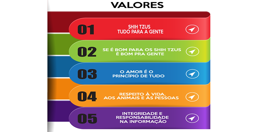 INFOGRAFICO_VALORES_SITE_2.png