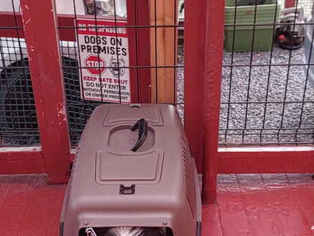 『 よくご質問いただく話し 』