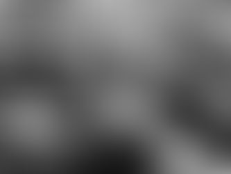 H-1B按工资抽签定了