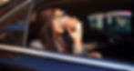 5c09d19f6a41813ca94b1151_videoblocks-businesswoman-drinking-coffee-in-the-back-seat-of-lux