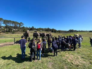 Summerwood Primary School Grade 7 Tour 014.JPEG