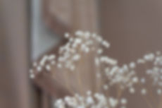 Beautiful flowering close-up of Alpine G