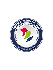 Certificado Systemic Management no BG.png