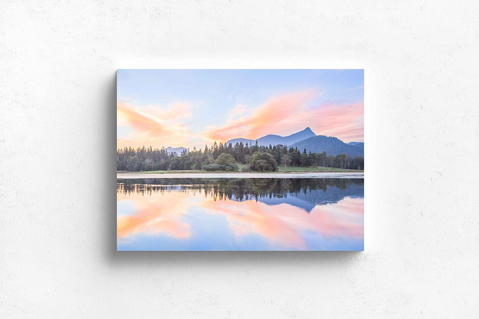Thumbnail: PBB234 | WOLLUMBIN DREAMING
