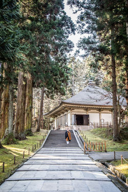 11. Chusonji Castle - IMG_8233