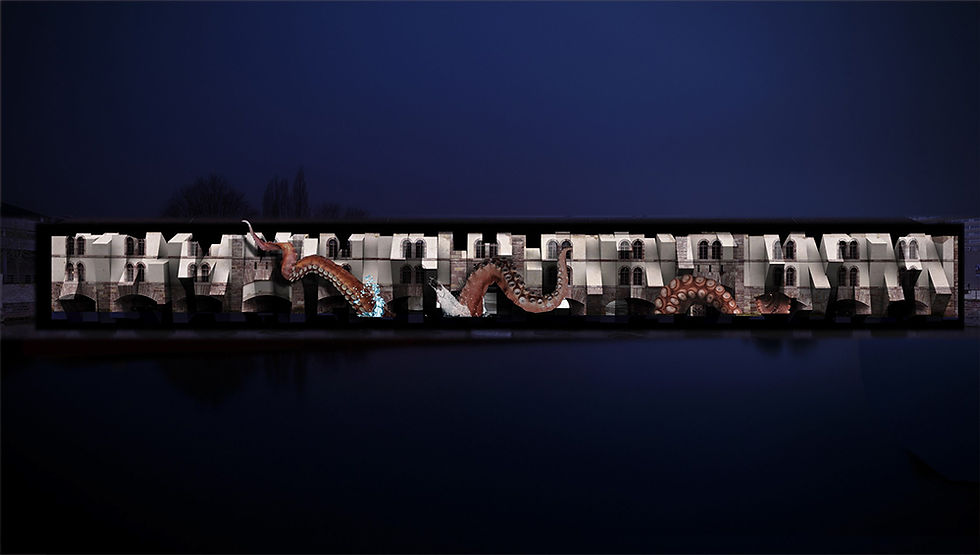 PROJET BARRAGE VAUBAN STRASBOURG