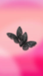 Thumbnail: Midnight Monarchs