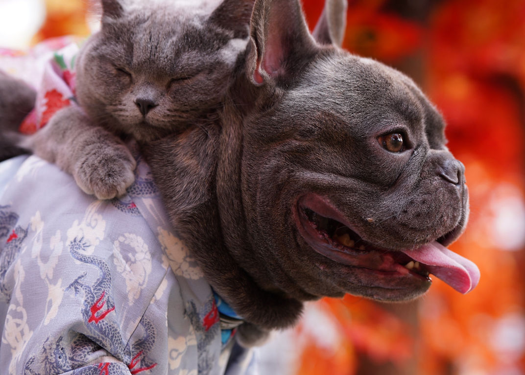 david-whipple-mU-wz7JlJMc-unsplash_Ravid_edited.jpg