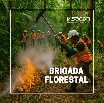 Brigada Florestal