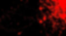 bloodblack_edited_edited.jpg