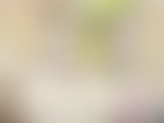 Carnaval em Monte Verde: descanso, natureza e charme na Serra