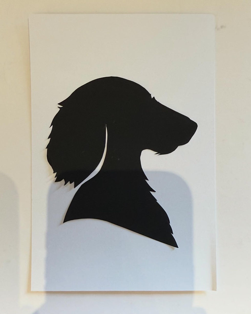 7BAB8A53-5E35-4E6C-BC97-BAEB6913FCF9