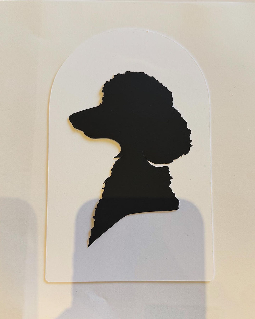 52321891-6A44-4A7C-8B7C-3A796B108F92