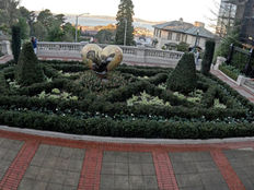 Practical Slow Living: Lessons from San Francisco for a Longer, Better Life