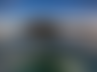 Arrels Marines: The Project Born to Protect the Lungs of the Mediterranean