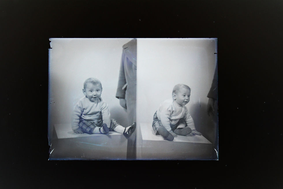 Miniatura: Lotto di lastre fotografiche vintage, fine XIXsec