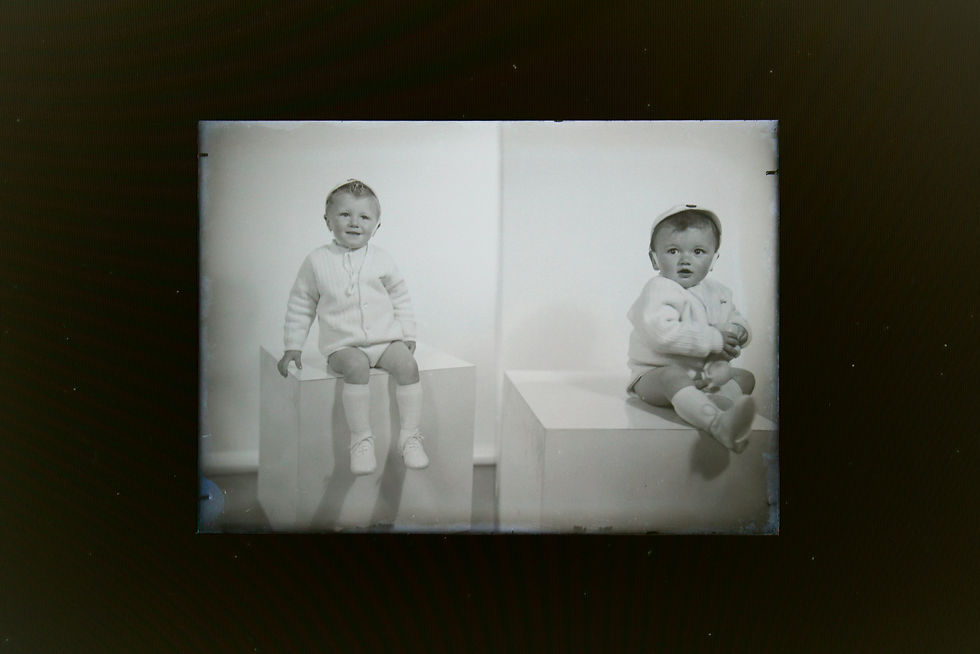 Miniatura: Lotto di lastre fotografiche vintage, fine XIXsec