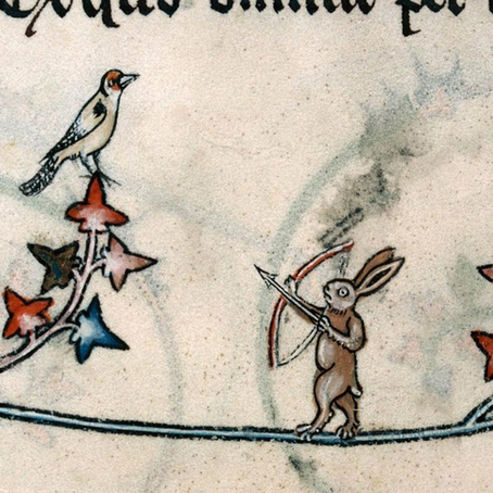 I conigli assassini del Medioevo