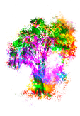 treeof3 copy.png