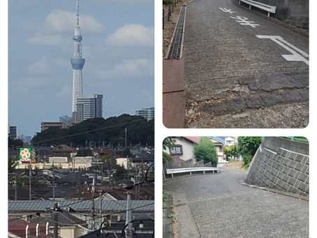 スカイツリーがよく見える✨