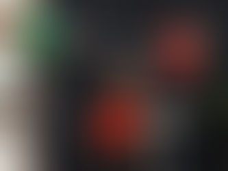 Nationale 1 – Deuxième journée : Le Caen Calvados Haltérophilie Musculation décroche la 2ᵉ place à Brest