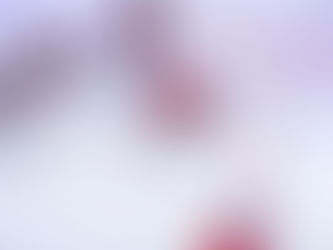 Les Drakkars de Caen stoppés par les Brûleurs de Loups aux portes de la finale