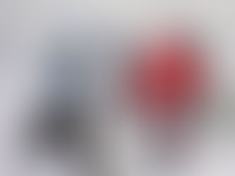 Coupe de France. Les Drakkars relèvent la tête face à Tours