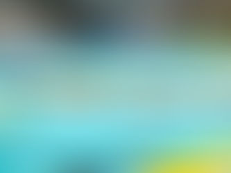 Championnats de France Élites – 25 m à Taverny : l’E.N. Caen en ébullition